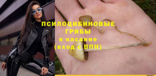 шишки Наволоки