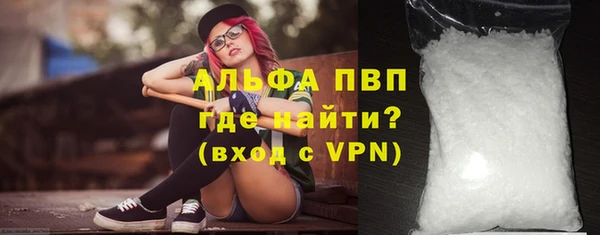 индика Нея