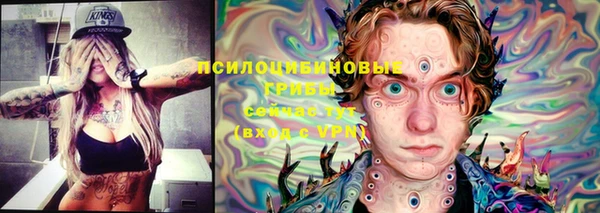 шишки Наволоки